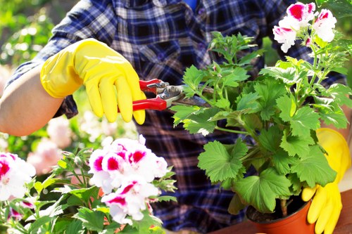 Team members working on a Leyton garden maintenance site