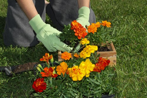 Close-up of a gardener pruning shrubs, symbolising detailed garden maintenance in Leyton.