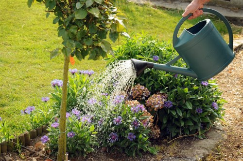 Garden clearance in a terraced Leyton backyard