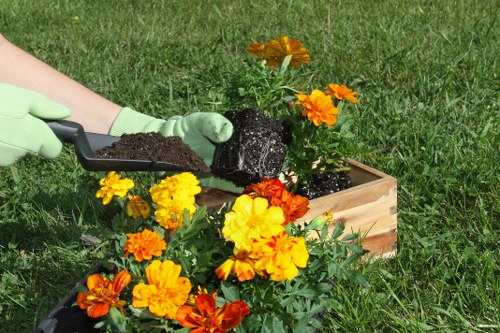 A garden scene in a residential outdoor space featuring a rectangular wooden planter box placed on lush green grass, containing a small flowering shrub with bright orange and yellow blossoms. A person's hand, wearing a light green gardening glove, is using a small trowel to add dark soil to the planter. The background shows a well-maintained lawn with evenly cut grass and minimal visible garden structures or pathways. The environment is outdoors, likely in a front or back garden typical of Leyton, with natural daylight and a clear, sunny weather setting. This scene reflects routine garden maintenance and planting activities, aligning with services provided by Garden Maintenance Leyton for landscaping and outdoor garden care.